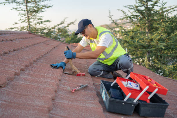 Roof Gutter Cleaning in Weirton, WV